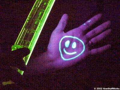 Black Light