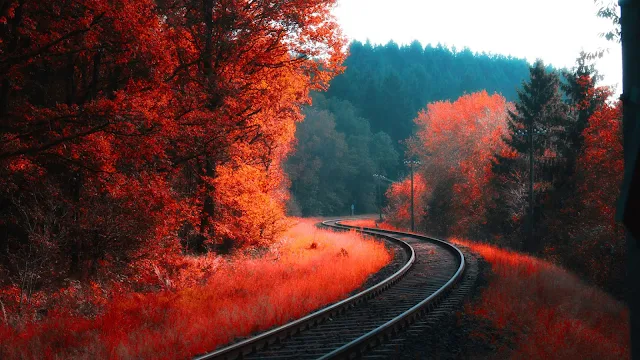 Lindo Papel de Parede Estrada de Ferro