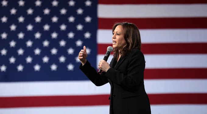 Kamala Harris: Where did everything turn out badly for her?