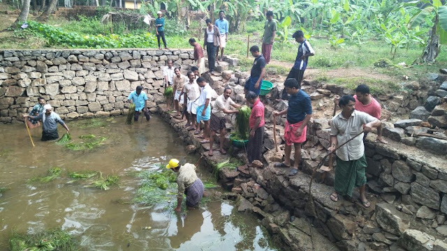 Pool Cleaning by CPIM Kizhakkoth Committee at Pannur