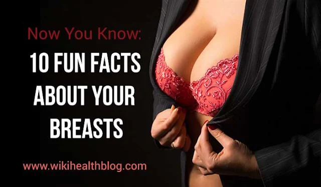 Now You Know: 10 Fun Facts About Your Breasts: WikihealthBlog