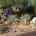 Small Desert Garden Designs