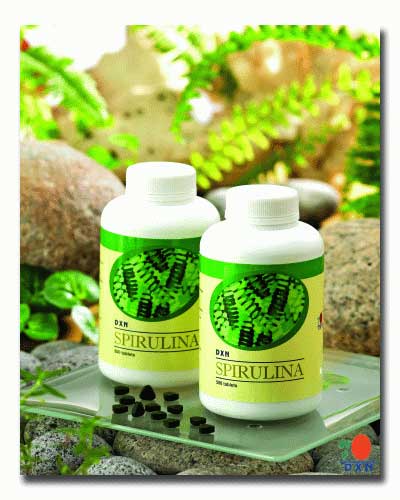 Spirulina on El Ganoderma Lucidum De Dxn   La Espirulina De Dxn  Preguntas Y