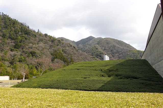 島根県出雲市大社町杵築東 島根県立古代出雲歴史博物館