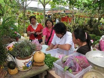 Keeping busy: Lim (in white t-shirt) attending to some regular customers at her plantation.