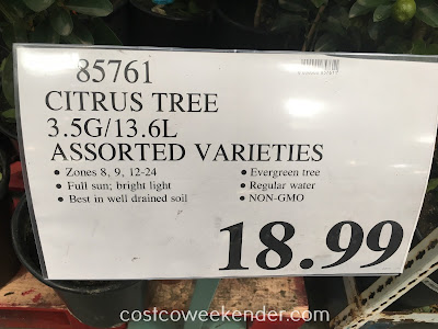 Deal for assorted varieties of citrus fruit trees at Costco