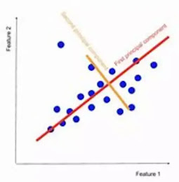reduction technique used to transform high-dimensional datasets into a lower-dimensional datasets