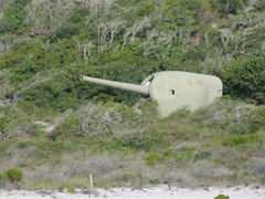 IMG_4661 (Small)