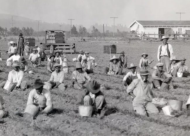 The Advance History of American Agriculture