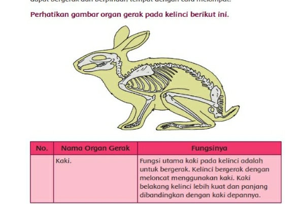 Rangkuman Materi Kelas  5  Tema 1 Subtema 1 Pembelajaran 2 