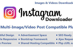 Instagram Video/Image Downloader with Ajax (Multi Content)