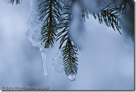 snowfall