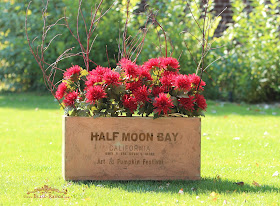 Half Moon Bay California Box Maison Blanche Paint Bliss-Ranch.com