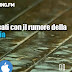 Raining | Rilassati con il rumore della pioggia