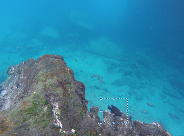 Snorkel en San Bartolomé, Galápagos