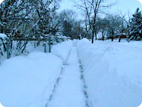 Canadian Winter, Snow, Winter