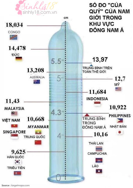 Kích thước trung bình của dương vật trên toàn quốc
