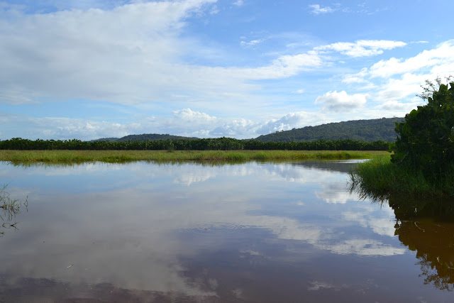 5 lieux incontournables à découvrir en Guyane