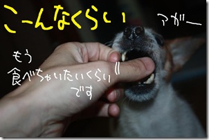 今日カズ１００５２３　４