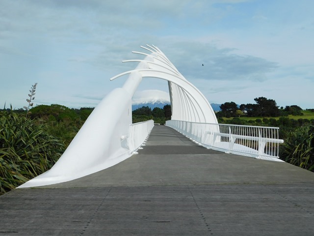 DSCN1231