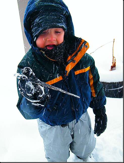2010_0216bigsnow20006