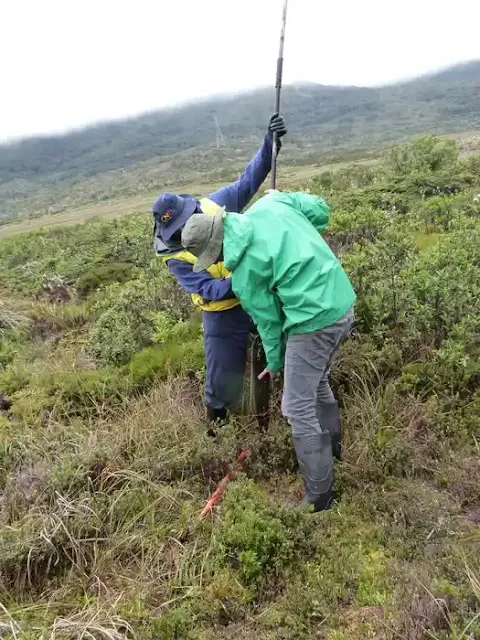 Investigadores recolectando excremento de megafauna extinta