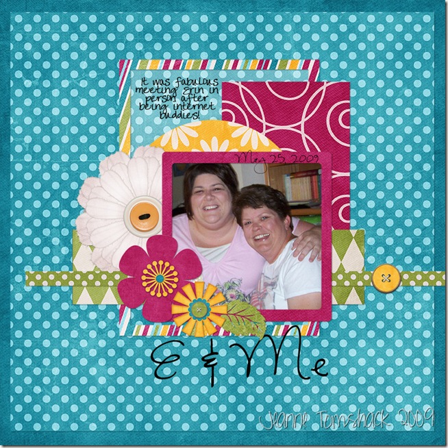 E&MeSOA