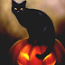 Black Cat - Black Cat Halloween