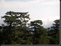 DSCN1698