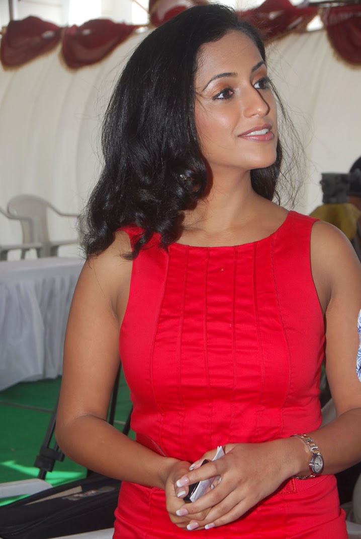 Ashika Hot Stills in Red Dress
