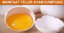 manfaat mengkonsumsi telur ayam kampung