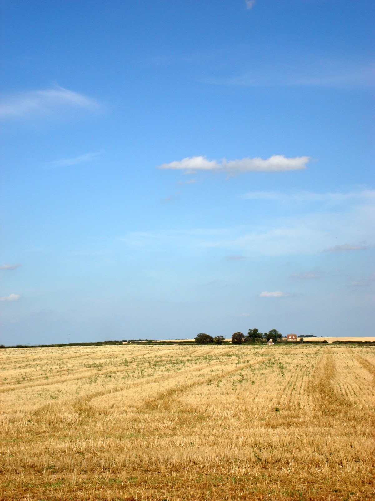 DSC09772.JPG