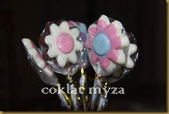 Coklat 16.3.2011 084