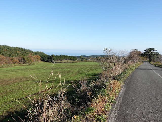 鳥取県西伯郡大山町羽田井　香取の牧草地