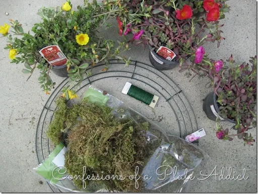 CONFESSIONS OF A PLATE ADDICT How to Make a Living Wreath supplies
