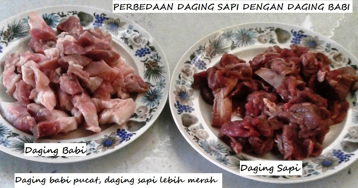 Kuliner Asli Manado d/h Aneka Resep Masakan Online: Perbedaan daging