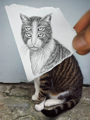 Scary cat optical illusion