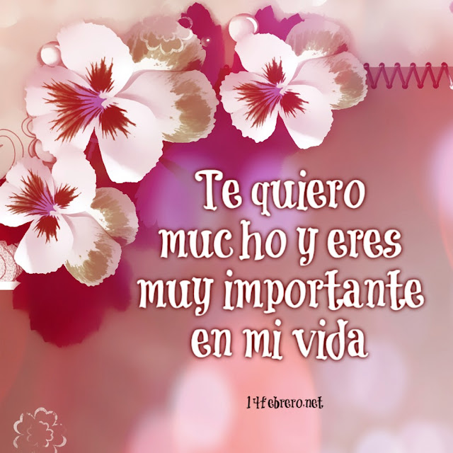 te quiero mucho y eres muy importante en mi vida 