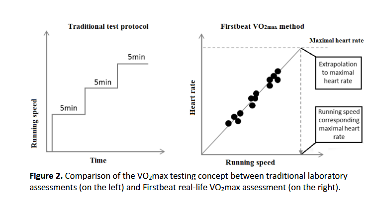 Muscle Oxygen Training Firstbeat Vo2 Estimation Valid Or Voodoo