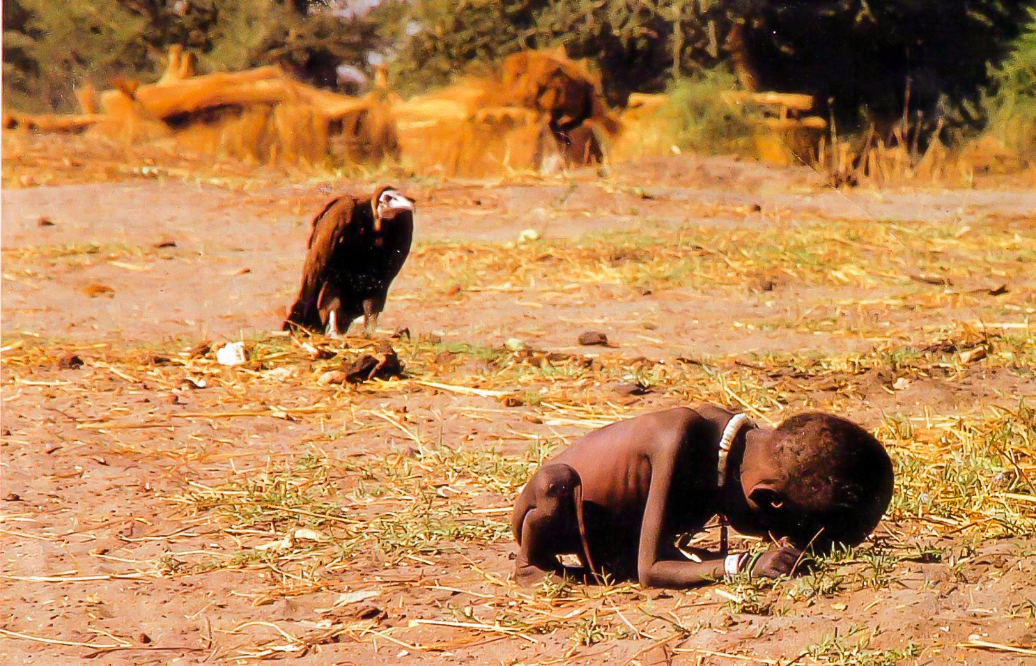 kevin carter photo gallery