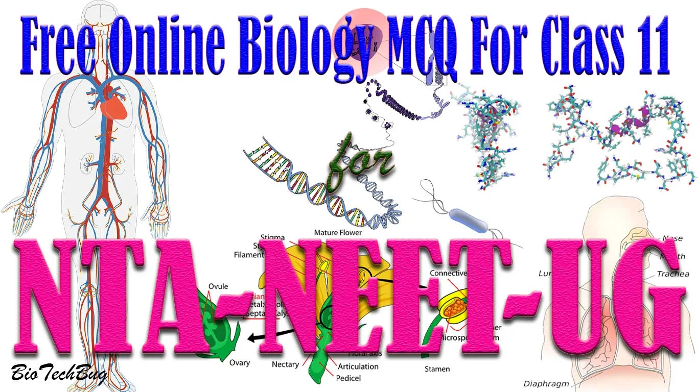 class 11 biology mcq free online test