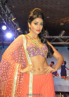 shriya+saran+ramp+(17)