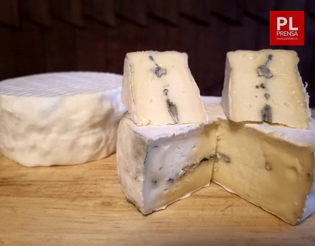 Bleu neige queso cremoso de corteza blanca de penicillium y centro azul