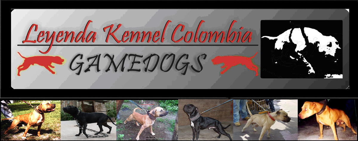 kenneleyenda