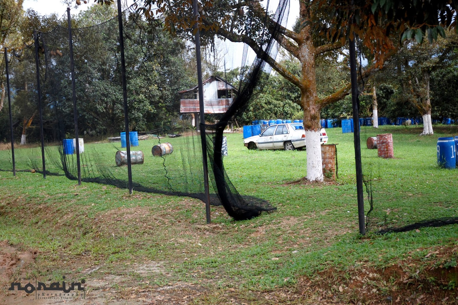 Refreshing Springs Resort Dibina Dalam Kebun Buah-Buahan Tropika