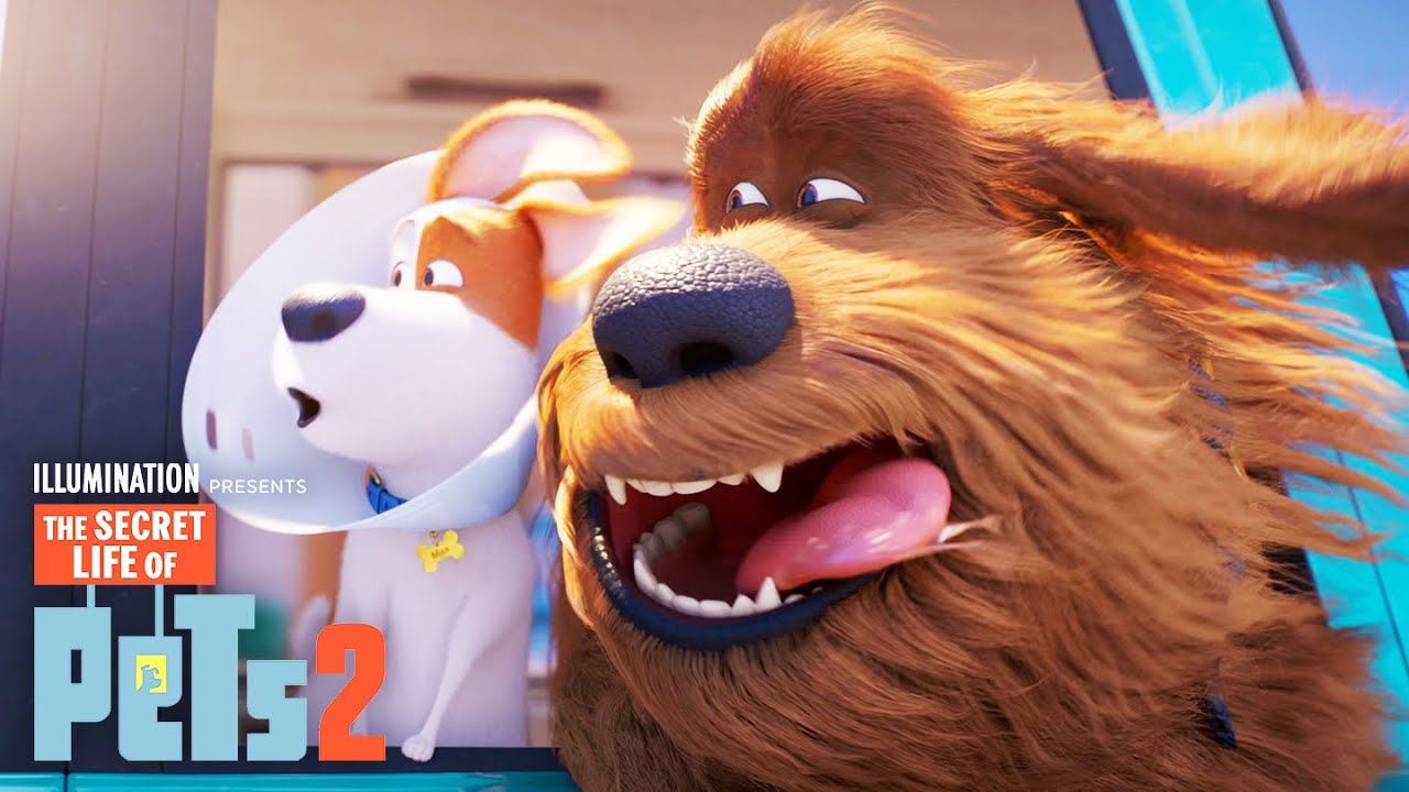 The Secret Life Of Pets 2 2019 Hindi Dubbed Download 720p Dead Cartoon Network