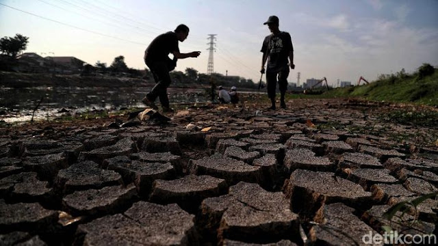 Pemerintah Cari Langkah Antisipasi Kekeringan