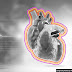  7 Astonishing Aspects of the Human Heart