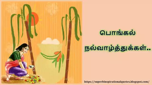 Tamil Pongal wishes 2