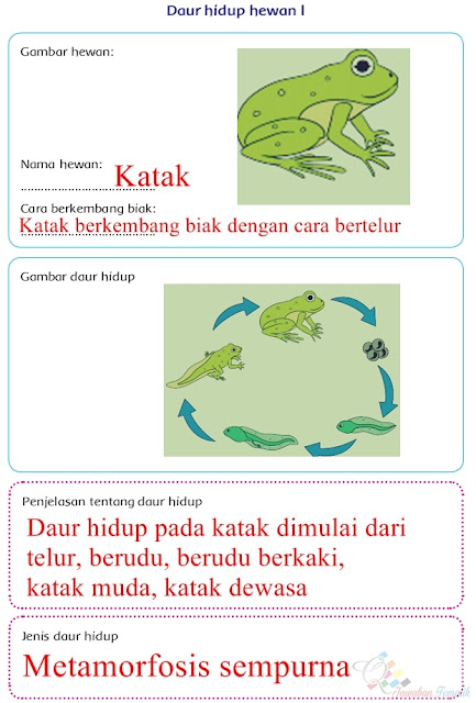 Kunci Jawaban Buku Siswa Kelas 4 Tema 6 Halaman 63 64 65 